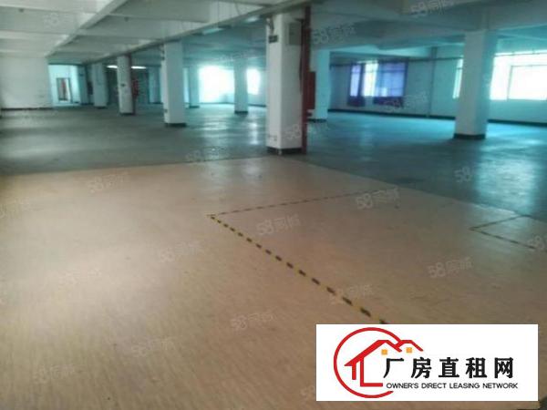  丽湖一二楼仓库出租200平500平1000平
