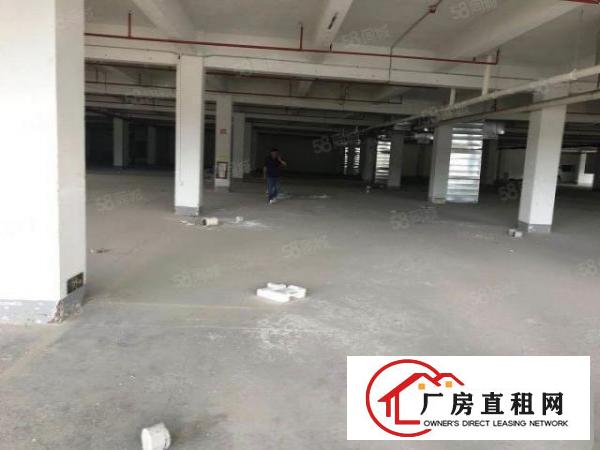  布吉早禾坑12000平方红本厂房出租，电梯
