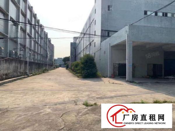  布吉早禾坑12000平方红本厂房出租，电梯
