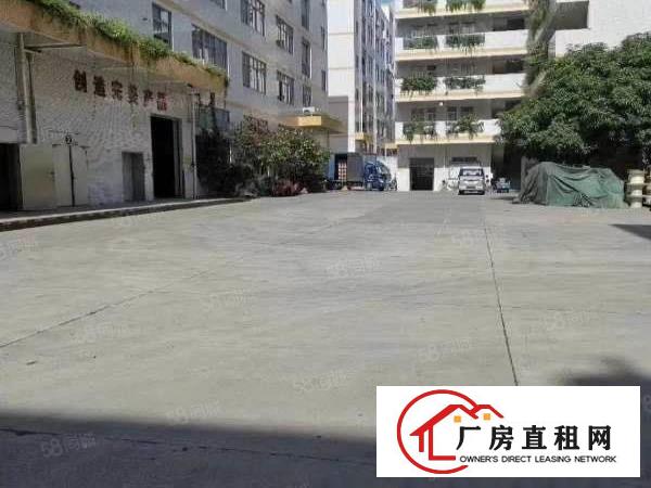  布吉早禾坑12000平方红本厂房出租，电梯