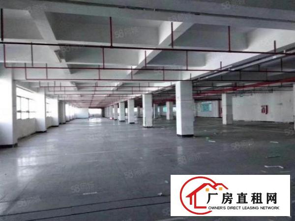  布吉早禾坑12000平方红本厂房出租，电梯