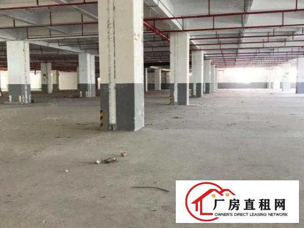  业主厂房招租，200平方起租