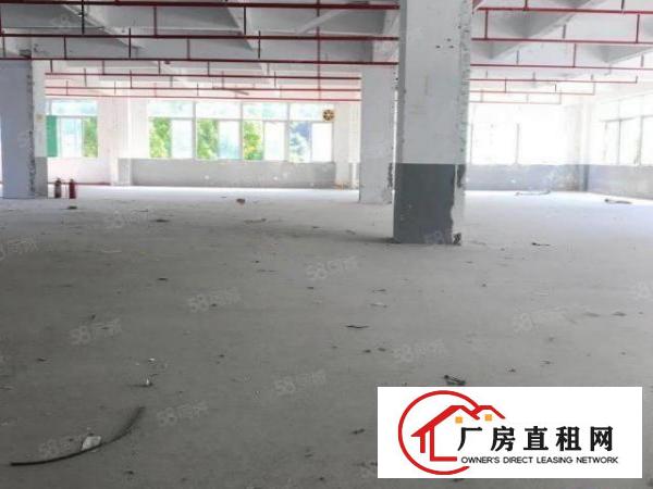  业主厂房招租，200平方起租