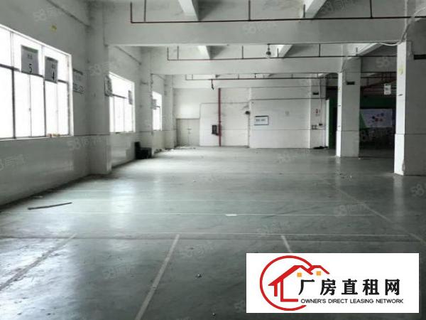  南岭村工业园一楼1300平，可做电商仓储，画框，服装