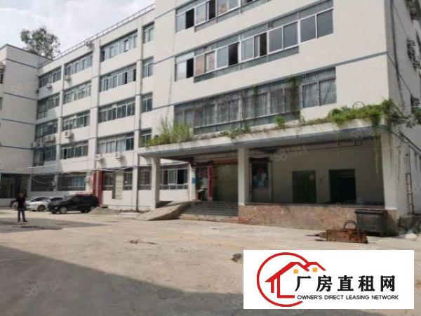  南岭村工业园一楼1300平，可做电商仓储，画框，服装