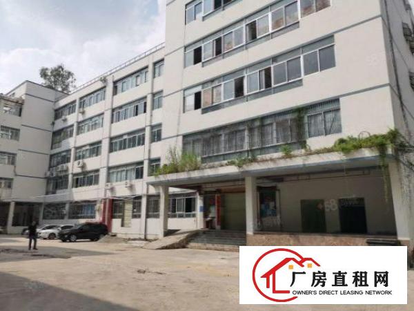  南岭村工业园一楼1300平，可做电商仓储，画框，服装