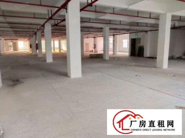  布吉新出1500平标准厂房出租大小可分租园区空地超大