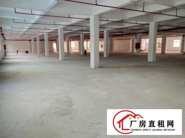  布吉新出1500平标准厂房出租大小可分租园区空地超大