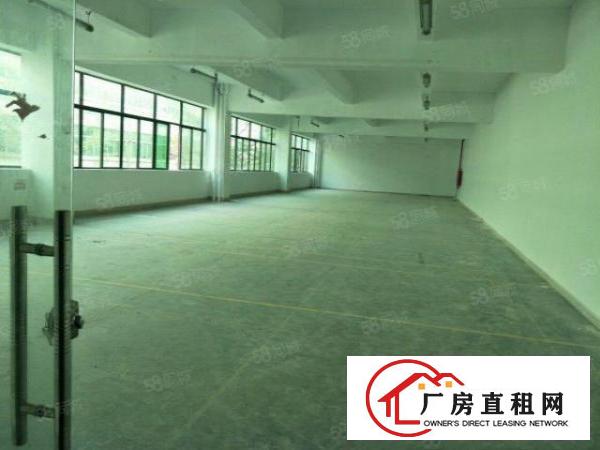  布吉新出1500平标准厂房出租大小可分租园区空地超大