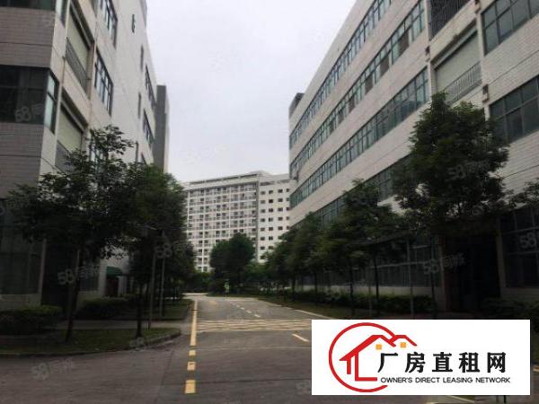  布吉李朗九月份空出15层22000平米，租金报价26元每平