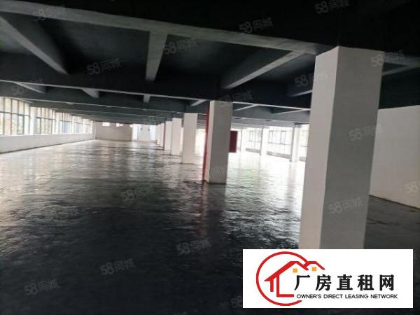  康桥9600平方厂房出租