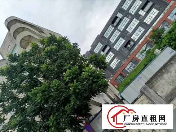  康桥9600平方厂房出租