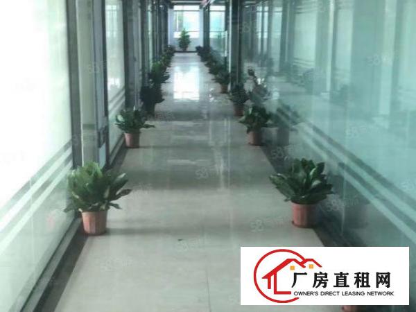  布吉新空出2楼800平精装修厂