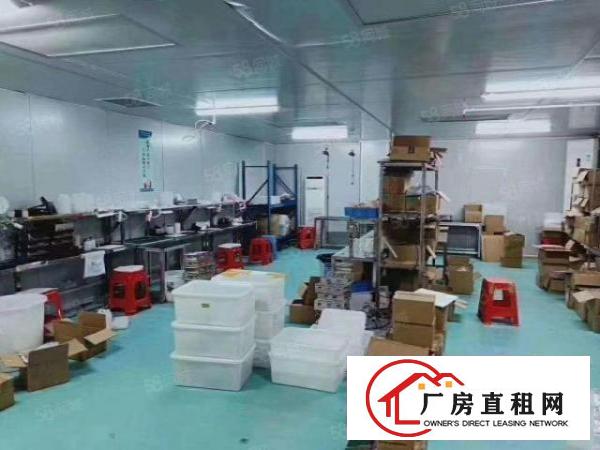  龙岗原房东厂房出租，无公摊，300平到5000平，大小可分租