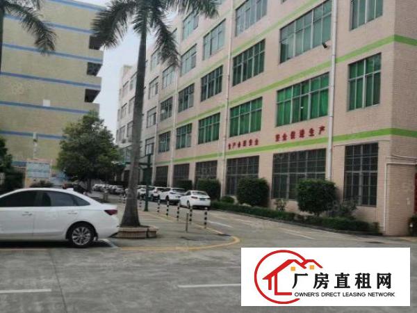  龙岗原房东厂房出租，无公摊，300平到5000平，大小可分租