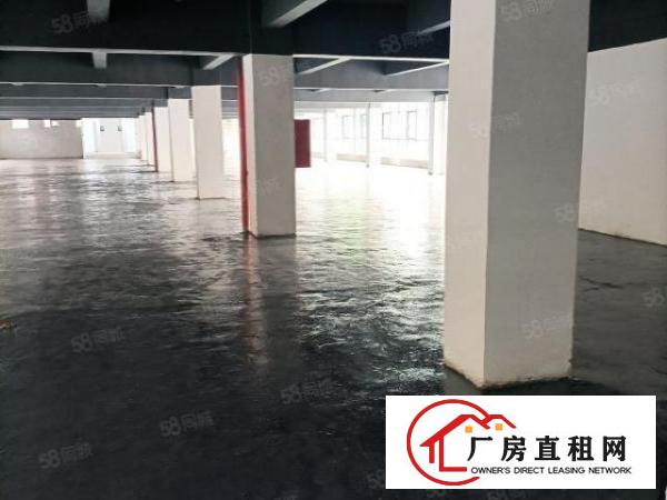  布吉沙湾2280平方红本厂房出租