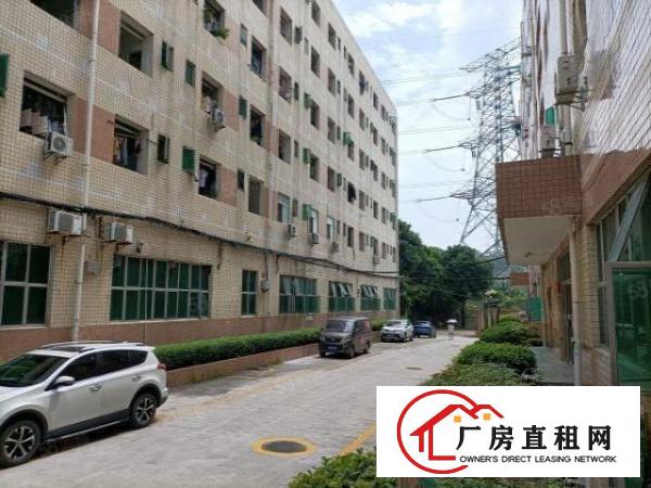  布吉沙湾2280平方红本厂房出租