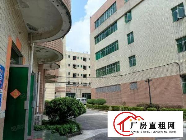  布吉沙湾2280平方红本厂房出租