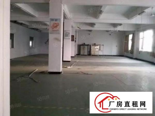  出租！丹竹头一楼厂房仓库大小面积出租（200平800平）
