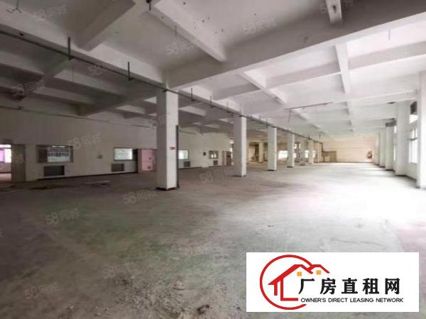  出租！丹竹头一楼厂房仓库大小面积出租（200平800平）