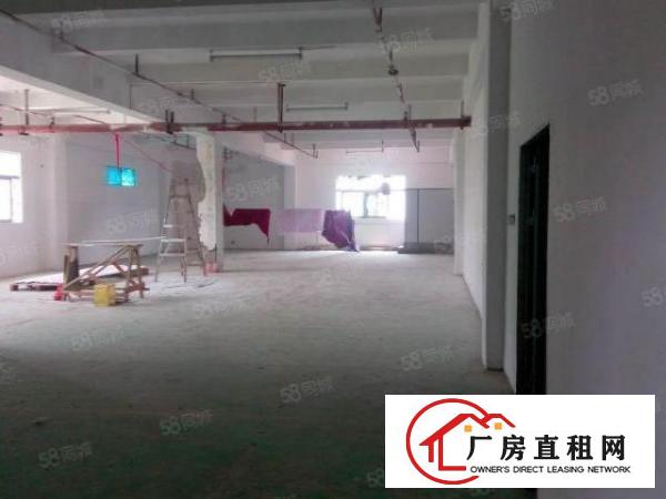  出租！丹竹头一楼厂房仓库大小面积出租（200平800平）