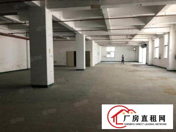 出租！丹竹头一楼厂房仓库大小面积出租（200平800平）
