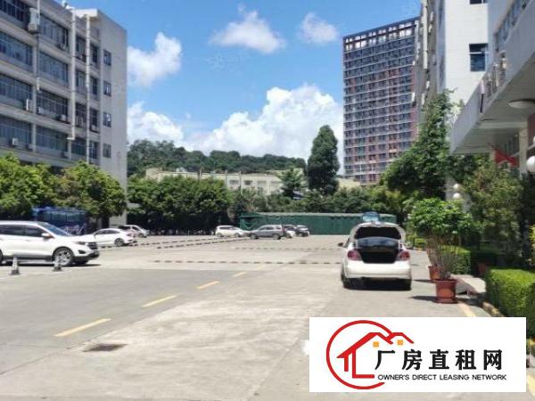  布吉下李朗布澜路附近新出2200平红本厂房原房东直租