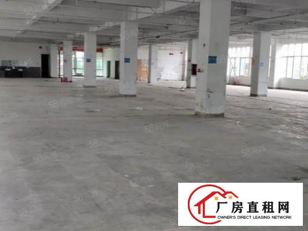  布吉下李朗布澜路附近新出2200平红本厂房原房东直租