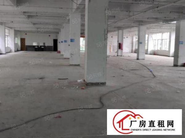  布吉下李朗布澜路附近新出2200平红本厂房原房东直租