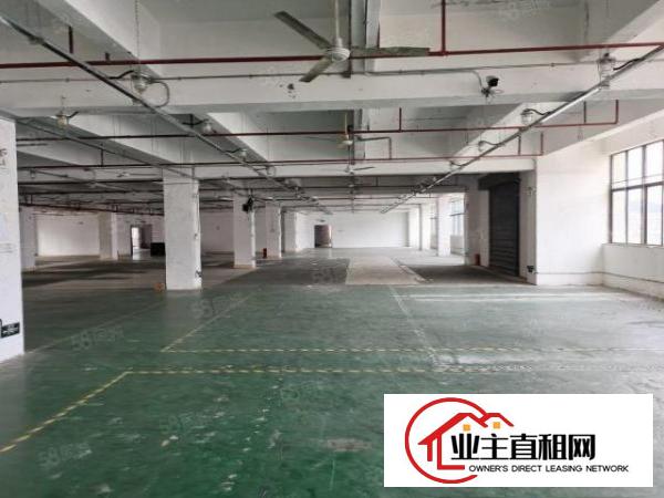  布吉新出工业园厂房1000平证件齐全可办环评