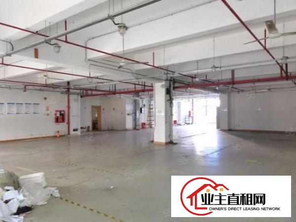  布吉新出工业园厂房1000平证件齐全可办环评