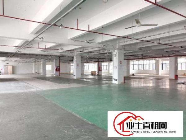  布吉新出工业园厂房1000平证件齐全可办环评