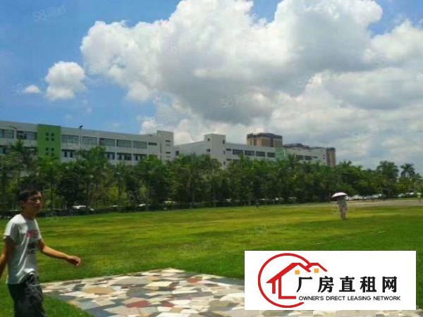  布吉红本楼上1500平，大小可分带精修办公室可申请政府补贴，