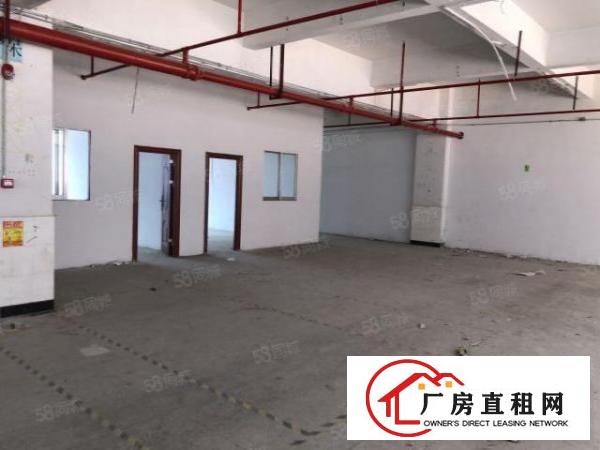  布吉百鸽笼地铁C出口电商仓库出租150平方起