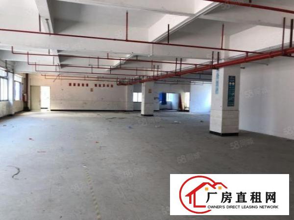  布吉百鸽笼地铁C出口电商仓库出租150平方起