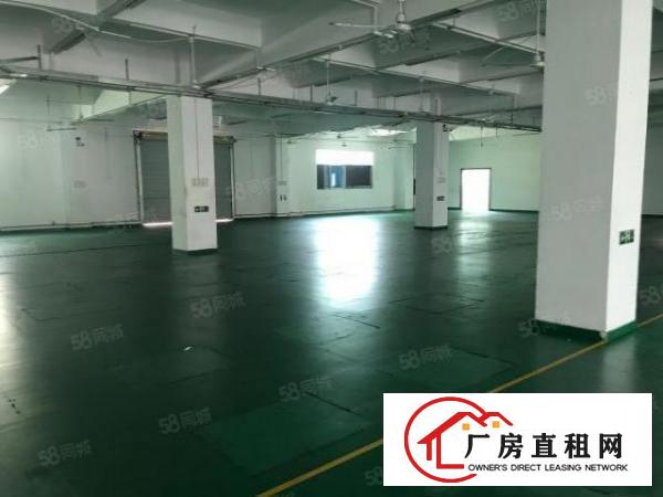  布吉原房东红本厂房3.6万平方出租，布吉地铁商业厂房整栋出租