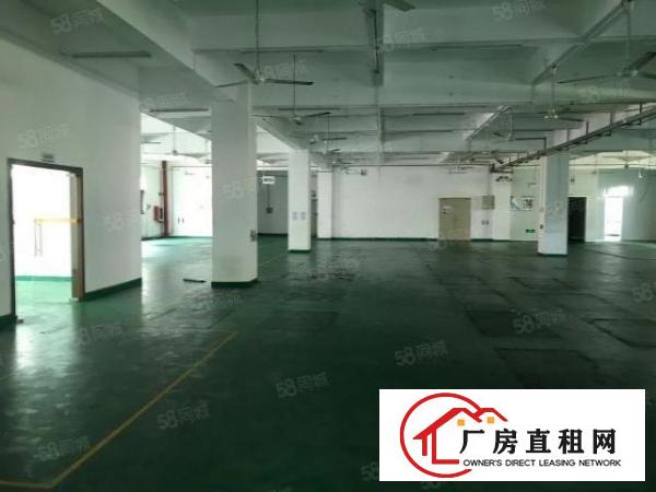  布吉原房东红本厂房3.6万平方出租，布吉地铁商业厂房整栋出租