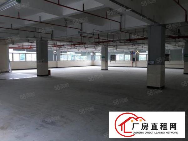  布吉丹竹头地铁站旁工业区一楼3850平米厂房仓库出租