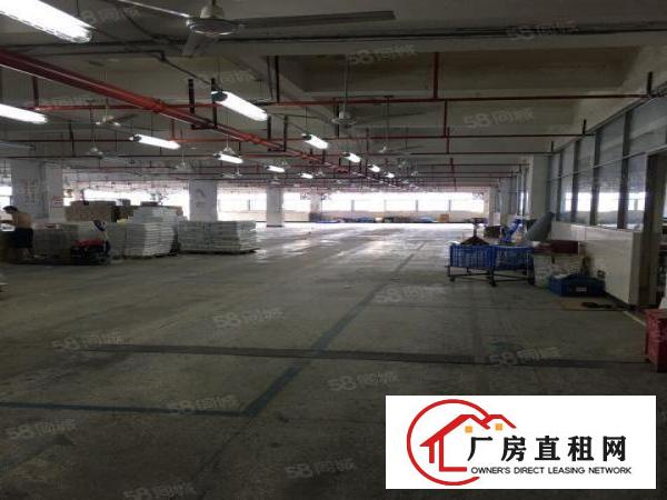  布吉丹竹头地铁站旁工业区一楼3850平米厂房仓库出租