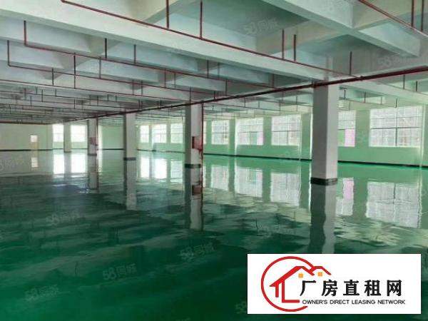  200平分租布吉上李朗红本工业园研发办公厂房出租2