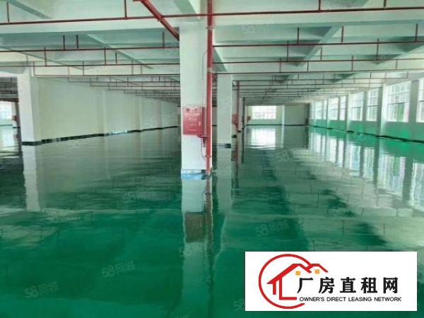  200平分租布吉上李朗红本工业园研发办公厂房出租2