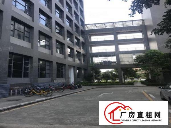  布吉花园式厂房一楼850平方带阁楼出租