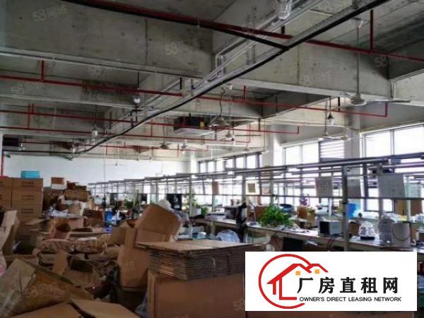  木棉湾科技园招租1200平方厂房分租。有装修