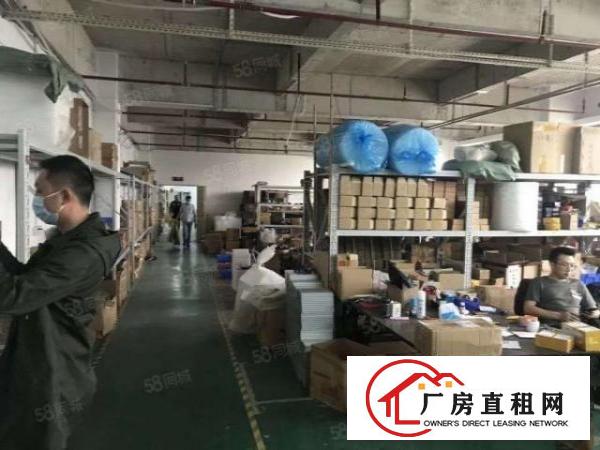  木棉湾科技园招租1200平方厂房分租。有装修