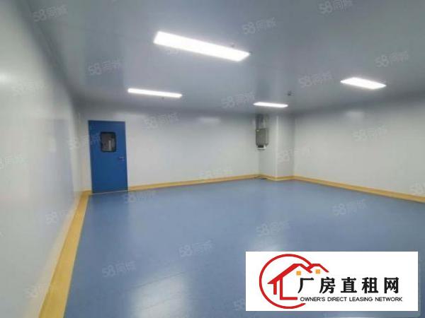  深圳布吉388平米办公研发电商厂房出租