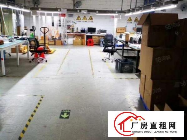  布吉大芬油画附近新出厂房130平至1000平米出租