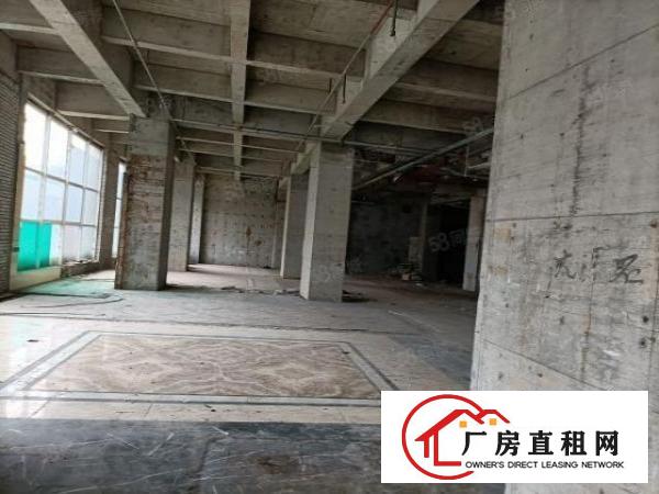  六月金鹏物流园附近3300平方厂房出租