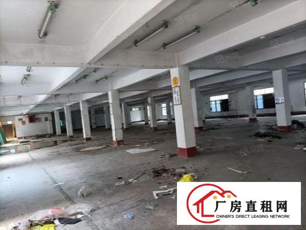  六月金鹏物流园附近3300平方厂房出租