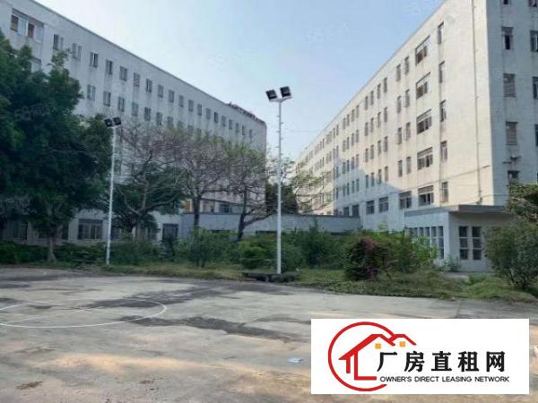  六月金鹏物流园附近3300平方厂房出租