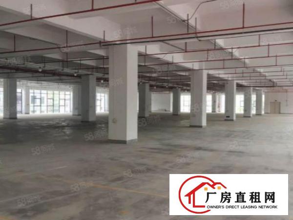  布吉李朗二楼一层3900平方，红本，带喷淋，卸货平台